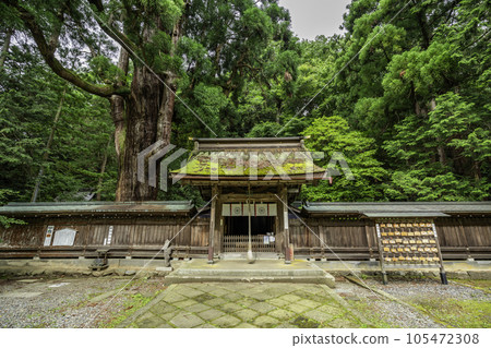 小濱若狹神社新門和千年杉 福井縣小濱市 105472308