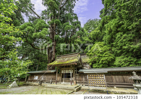 小濱若狹姫神社新門和正殿 福井縣小濱市 105472318