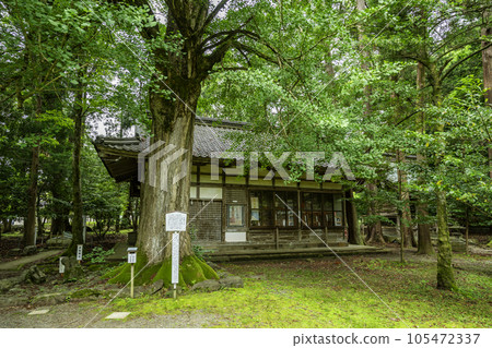 Obama, Wakasahime Shrine, Shrine, Obama City, Fukui Prefecture 105472337