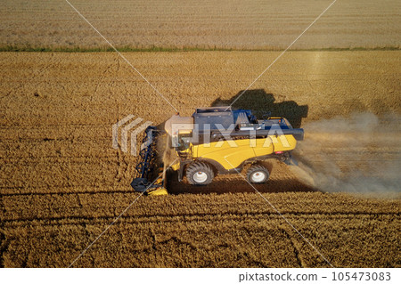 Harvesting machine working at agricultural field. Combine harvester collecting golden wheat field. Harvest reaping season 105473083