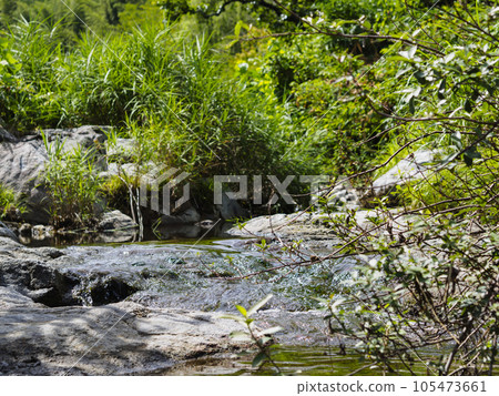 countryside river summer 105473661