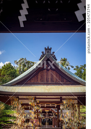 Summer at Umenomiya Taisha Shrine, the worship hall decorated with strips of paper for Tanabata and the blue sky in summer 105473744