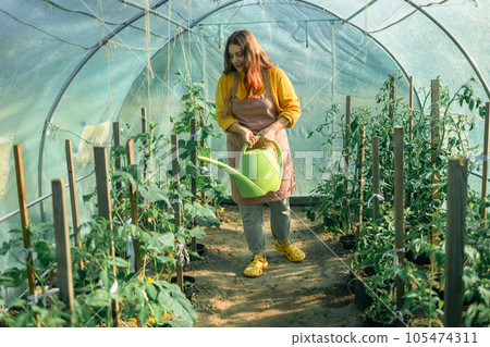 Gardener waters the plants in the greenhouse with a watering can. Female working with plants as hobby or leisure occupation. Taking care of home garden concept Gardener waters the plants in the greenhouse with a watering can. Female working with plants as hobby or leisure occupation. Taking care of home garden concept 105474311