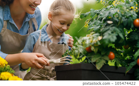 mother and daughter gardening in the backyard 105474422