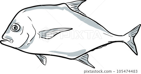 African pompano Fish of Florida Cartoon Drawing 105474483