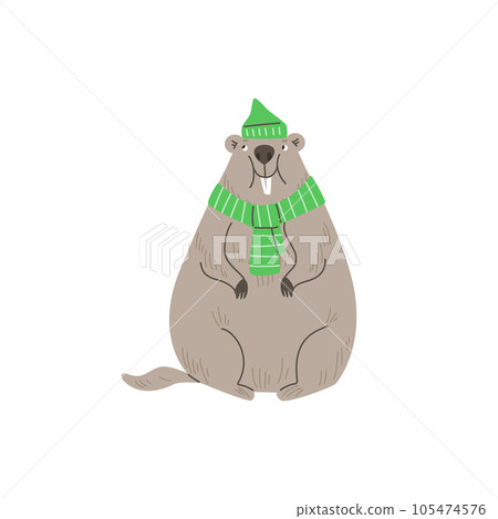 Cheerful groundhog wearing scarf and hat, cartoon flat vector illustration isolated on white background. 105474576