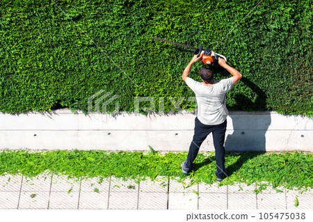 Hedge trimming by a service worker. Garden work. Gardening and landscaping. Shrubs pruning with trimmer. Cutting green leaves. Copy space Hedge trimming by a service worker. Garden work. Gardening and landscaping. Shrubs pruning with trimmer. Cutting green leaves. Copy space 105475038