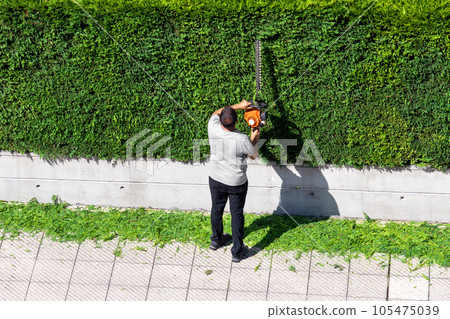 Landscaper is trimming green hedge. Professional gardener in a uniform cuts cypress leaves with gasoline trimmer Landscaper is trimming green hedge. Professional gardener in a uniform cuts cypress leaves with gasoline trimmer 105475039