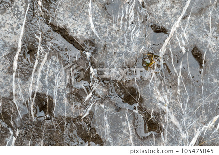 Wet stone wall. Water on a rock surface. Abstract background Wet stone wall. Water on a rock surface. Abstract background 105475045