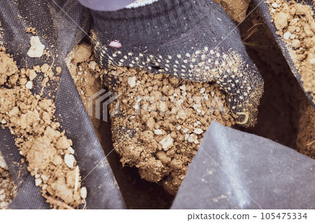 A person selects the excess soil from the hole, the soil is covered with black agrofiber from weeds A person selects the excess soil from the hole, the soil is covered with black agrofiber from weeds 105475334