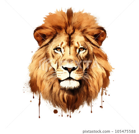 Lion animal isolated Lion animal isolated 105475588