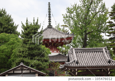 可以看到多寶塔屋頂和長頭屋的寺院風景 可以看到多寶塔屋頂和長頭屋的寺院風景 105476012