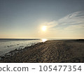 beautiful seaside sunrise 105477354
