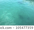 Emerald green sea and fish 105477359