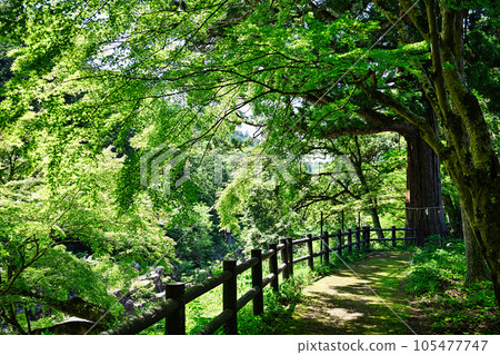 大磯神社 大磯神社 105477747
