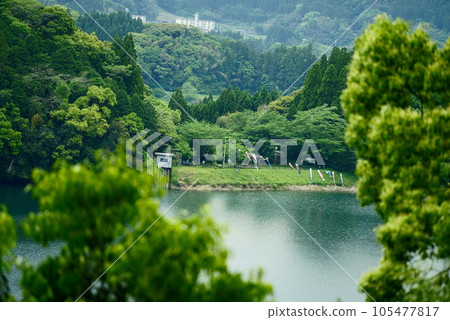 Scenery of Sumiyoshi Pond in spring 105477817