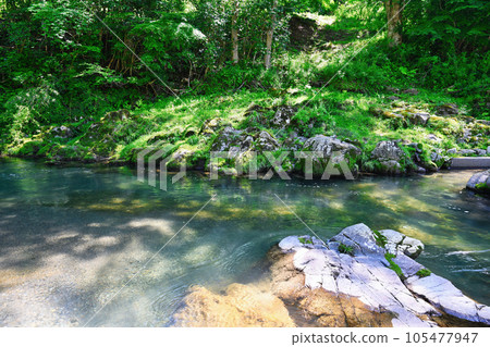 Oiso Shrine 105477947