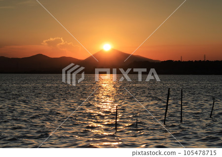 鑽石筑波 鑽石筑波 105478715