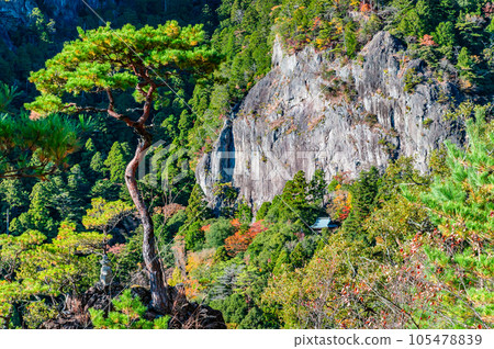 Aichi Mt. Horaiji 105478839