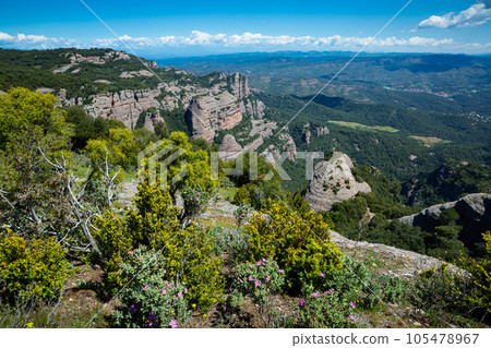 Mountain landscape of Natural Park de Sant Llorenc del Munt i l Obac 105478967