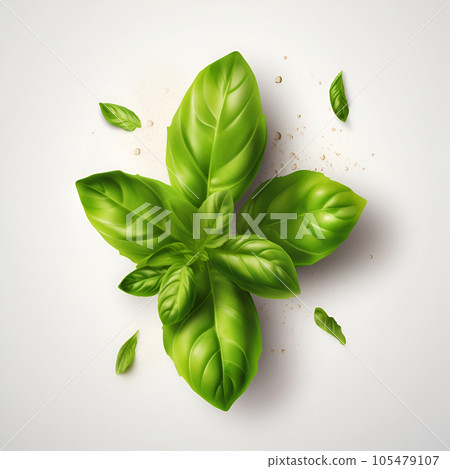 Fresh green basil on a white background. Close up. Green basil on a white background. Food background. Illustration Fresh green basil on a white background. Close up. Green basil on a white background. Food background. Illustration 105479107