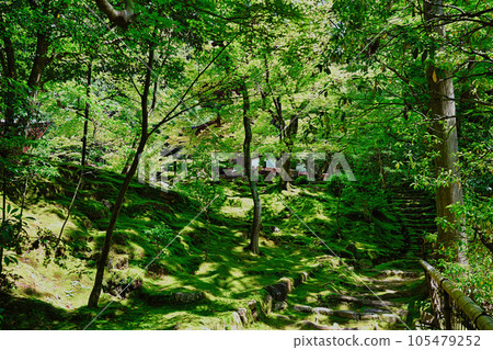 Saige-ji Saige-ji 105479252