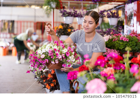 Girl choosing flowering petunias in hanging cache-pots at flower market 105479315