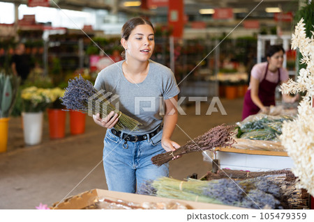 Girl choosing lavender bouquets with purple flowers at flower market 105479359