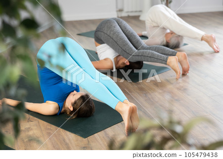 Yoga class of sporty women in activewear performing Halasana or Plow Pose on mats during workout in cozy yoga studio 105479438