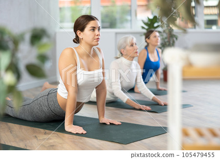 Group of females exercising during yoga class at gym Group of females exercising during yoga class at gym 105479455