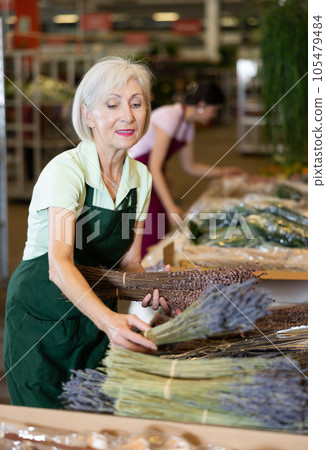 Old saleswoman holding bundles of lavender in open-air plants market 105479484