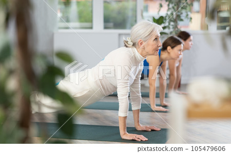 Concentrated mature woman standing in Dolphin Plank Pose or Makara Adho Mukha asana during group yoga class in studio 105479606