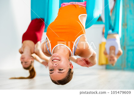 Group of women hang upside down in a hammock. Fly yoga class in gym. Fit and wellness lifestyle 105479609