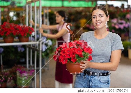 Portrait of satisfied woman with begonia flowers in flower pot Portrait of satisfied woman with begonia flowers in flower pot 105479674