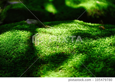 Kimpo Temple Kimpo Temple 105479780