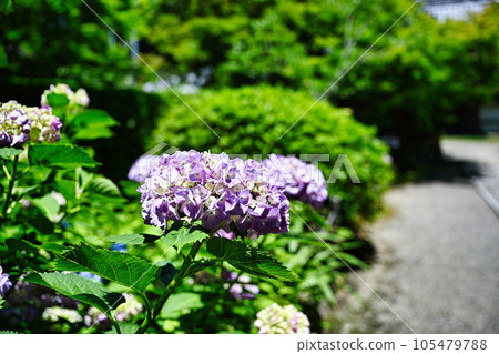 Kimpo Temple 105479788