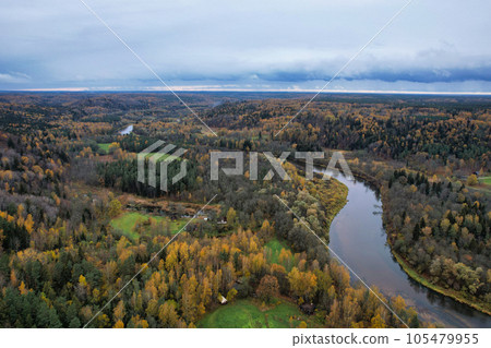Above aerial shot of green pine forests and yellow foliage groves with beautiful texture of golden treetops. Beautiful fall season scenery in evening. Mountains in autumn colors in golden time 105479955