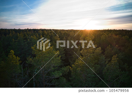 Above aerial shot of green pine forests and yellow foliage groves with beautiful texture of golden treetops. Beautiful fall season scenery in evening. Mountains in autumn colors in golden time Above aerial shot of green pine forests and yellow foliage groves with beautiful texture of golden treetops. Beautiful fall season scenery in evening. Mountains in autumn colors in golden time 105479956