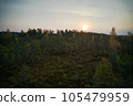 Above aerial shot of green pine forests and yellow foliage groves with beautiful texture of golden treetops. Beautiful fall season scenery in evening. Mountains in autumn colors in golden time 105479959