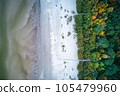 Above aerial shot of green pine forests and yellow foliage groves with beautiful texture of golden treetops. Beautiful fall season scenery in evening. Mountains in autumn colors in golden time 105479960