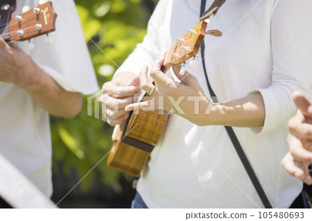 Middle-aged woman playing the ukulele live 105480693