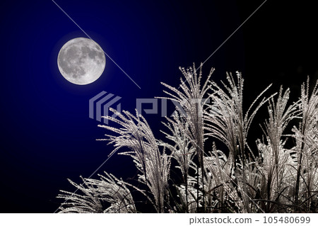 滿月和Susuki 滿月和Susuki 105480699