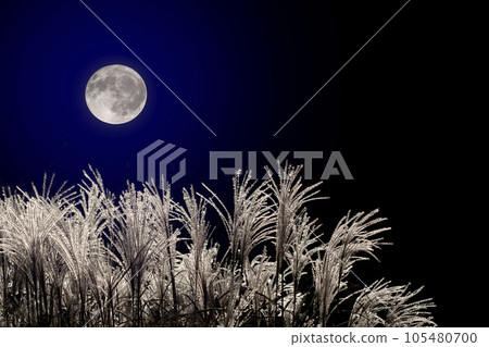 滿月和Susuki 滿月和Susuki 105480700