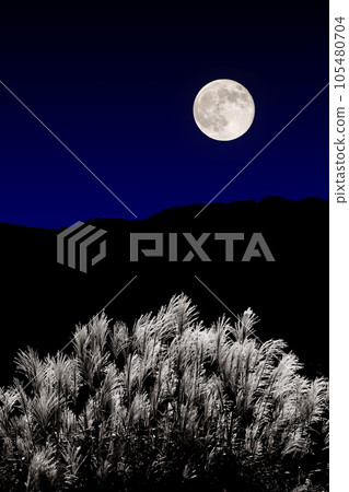 Full Moon and Susuki 105480704