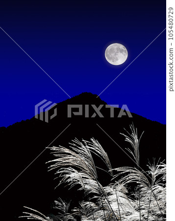 Full Moon and Susuki Full Moon and Susuki 105480729