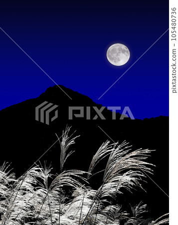 Full Moon and Susuki Full Moon and Susuki 105480736