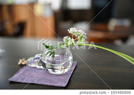 今津沃里斯博物館 今津沃里斯博物館 105480800