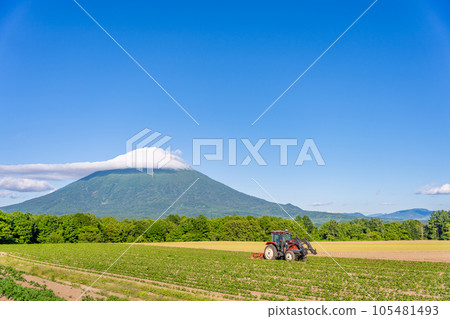 新雪谷羊蹄山美麗農田拖拉機 105481493