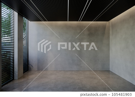 Modern empty room interior design contemporary, with natural tones on the room, walls, floor and ceiling.  rendering illustration 105481903
