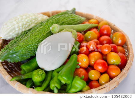 Harvesting summer vegetables in the kitchen garden (white eggplant, tomato, green pepper, okra, bitter gourd, white bitter gourd) 105482003